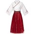 Ancient traditional elegant hanfu women's clothing fancy embroidered dress