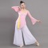 Classical Dance Practice and Performance Attire for Women, Elegant Ethnic Dance Costume with Chiffon and Mesh