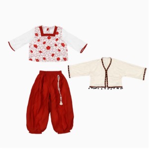 Girls' Spring & Autumn Hanfu Set - Traditional Chinese Performance Outfit