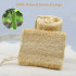 6 Pcs Organic Natural Loofah Sponge, Unbleached Luffa Eco-Friendly Shower Exfoliating Scrubber for Adults Body Deep Clean and Skin Care in Spa Bath and Dish Scouring Pad for Kitchen