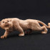Chinese-style Wooden Tiger Model, Suitable for Home and Office Desktop Decoration, DIY Craft Ornament