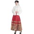 Ming style Hanfu shirt top woolen jacket horse face skirt