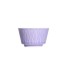 Purple Rim Tea Cup