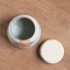 Hand-painted Persimmon Tea Canister with Sealed Jar