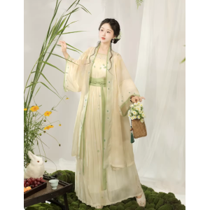 New Women’s Song-Style Hanfu Daily Beizi Set
