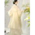 New Women’s Song-Style Hanfu Daily Beizi Set New Women’s Song-Style Hanfu Daily Beizi Set