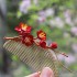 Intangible cultural heritage velvet plum blossom hair comb and hair accessories