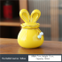 The 2023 Year of the Rabbit Mascot Tea Caddy